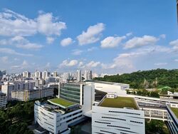 Sol Acres (D23), Condominium #321721261